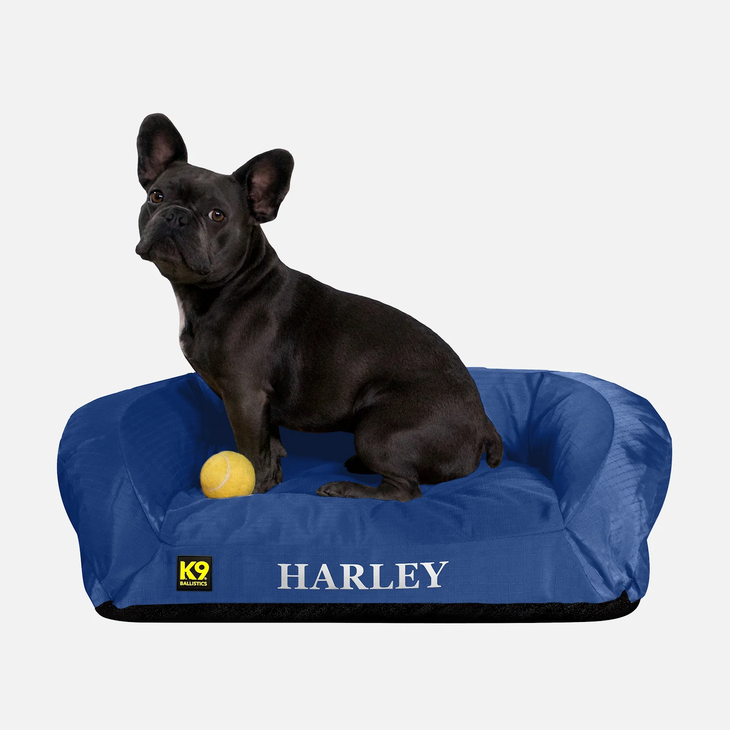Couch & Bolstered Dog Beds